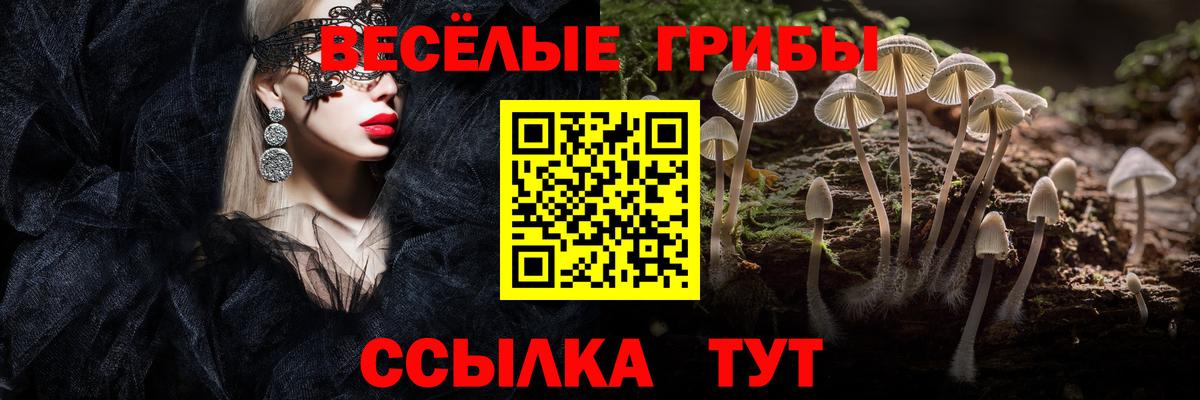 Галлюциногенные грибы мицелий  Галлюциногенные грибы ЛСД  Вход с VPN  Мичуринск 