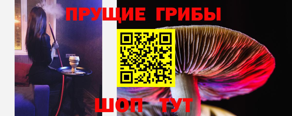 Псилоцибиновые грибы мицелий Мичуринск