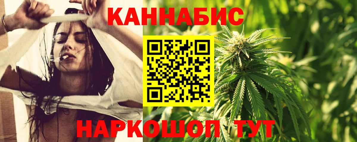 Конопля планчик Мичуринск
